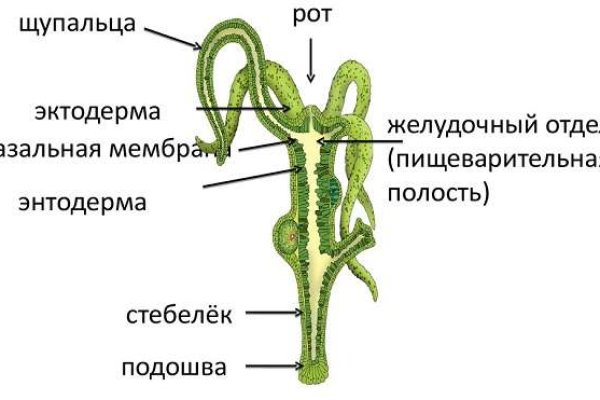 Где можно найти даркнет